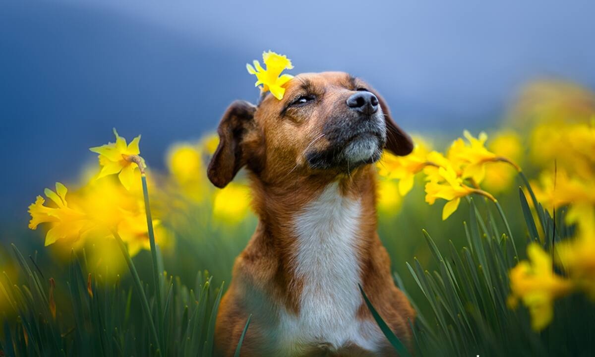 Διάβασε ΔΩΡΕΑΝ την προσωπική σου πρόβλεψη, για σήμερα 15/05/2022