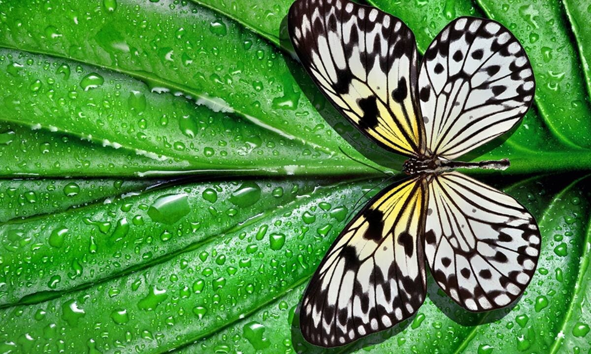 Διάβασε ΔΩΡΕΑΝ την προσωπική σου πρόβλεψη, για σήμερα 17/05/2022