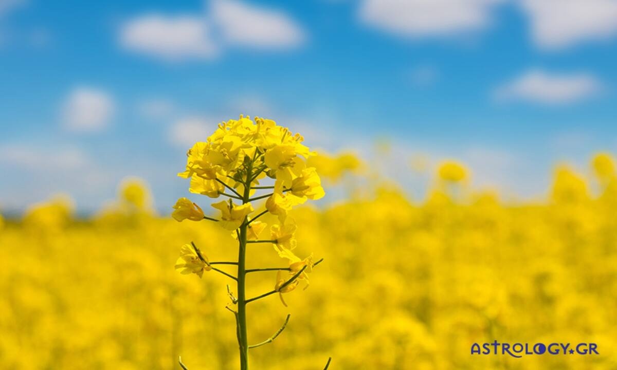 Διάβασε ΔΩΡΕΑΝ την προσωπική σου πρόβλεψη, για σήμερα 18/05/2022