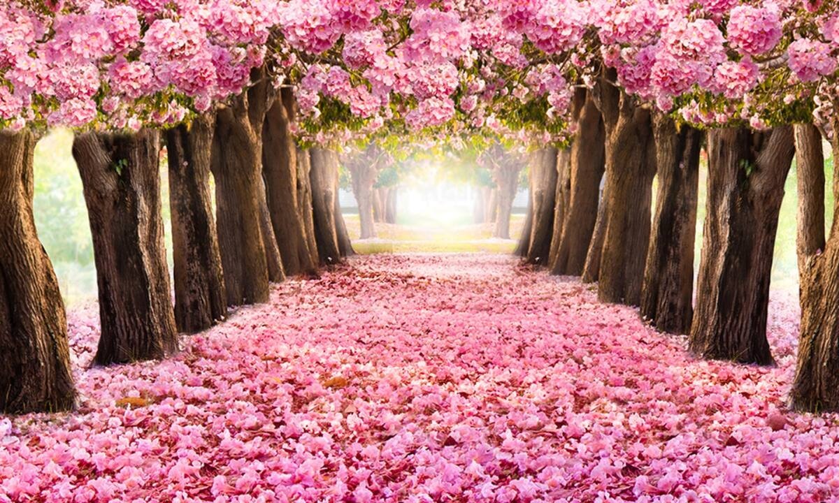 Διάβασε ΔΩΡΕΑΝ την προσωπική σου πρόβλεψη, για σήμερα 20/05/2022