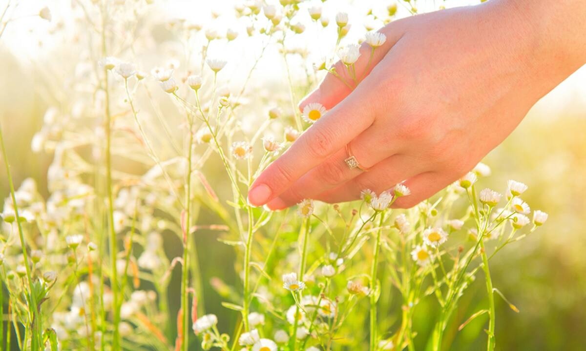 Ημερήσιες Προβλέψεις για όλα τα Ζώδια, 25/05