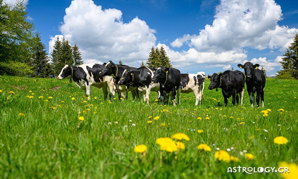 Διάβασε ΔΩΡΕΑΝ την προσωπική σου πρόβλεψη, για σήμερα 29/05/2022