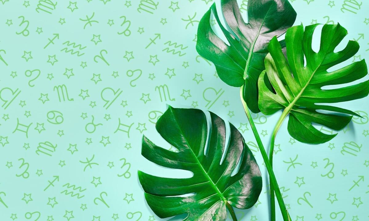 Εβδομαδιαίες προβλέψεις από 05/06 έως 11/06: Ακόμη δεν είδες τίποτα!
