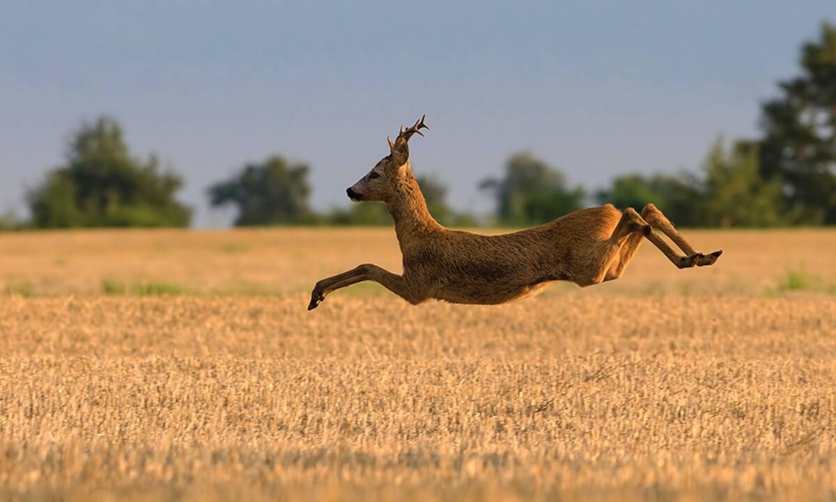 Διάβασε ΔΩΡΕΑΝ την προσωπική σου πρόβλεψη, για σήμερα 09/06/2022