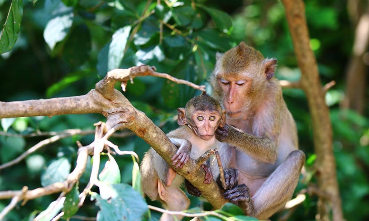 Διάβασε ΔΩΡΕΑΝ την προσωπική σου πρόβλεψη, για σήμερα 13/06/2022