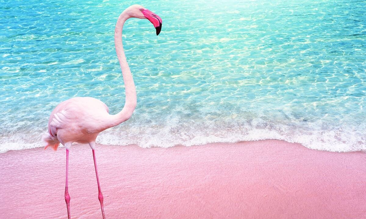 Διάβασε ΔΩΡΕΑΝ την προσωπική σου πρόβλεψη, για σήμερα 15/06/2022