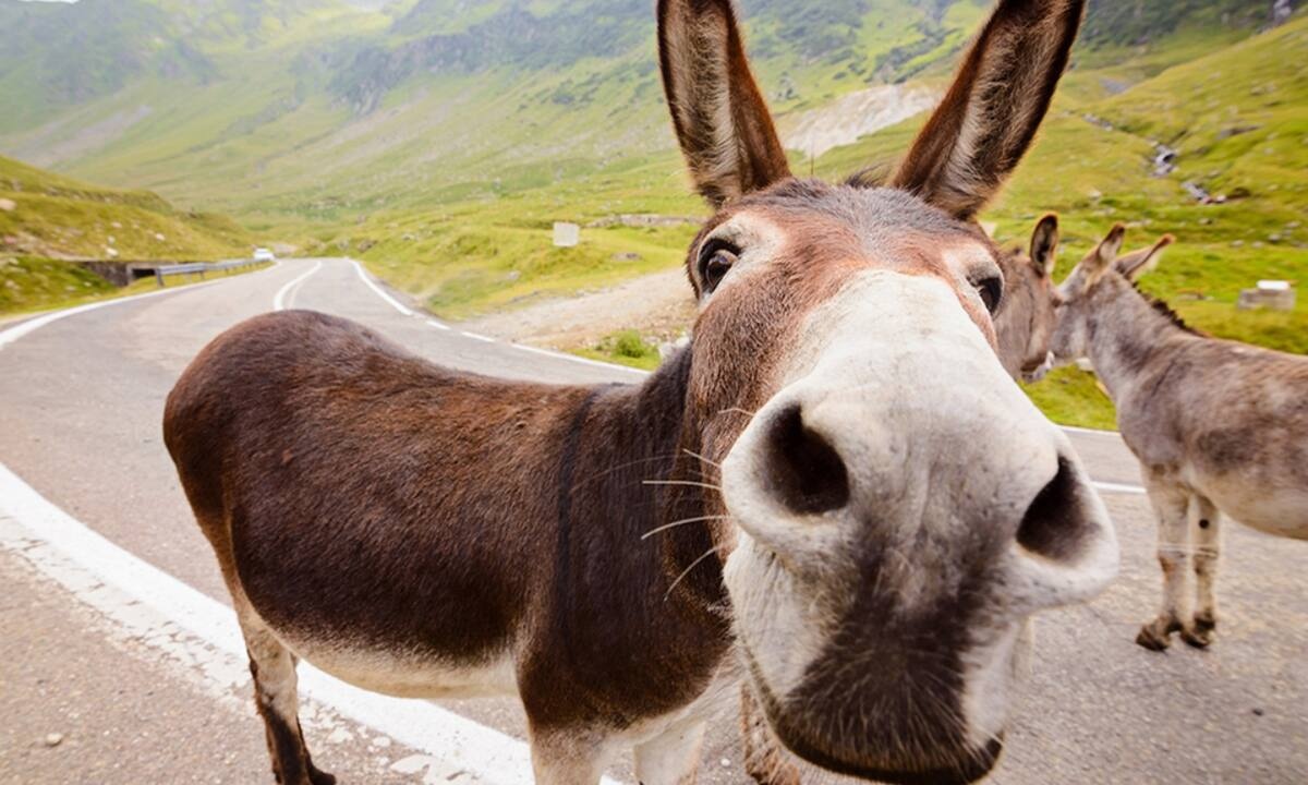 Διάβασε ΔΩΡΕΑΝ την προσωπική σου πρόβλεψη, για σήμερα 27/06/2022