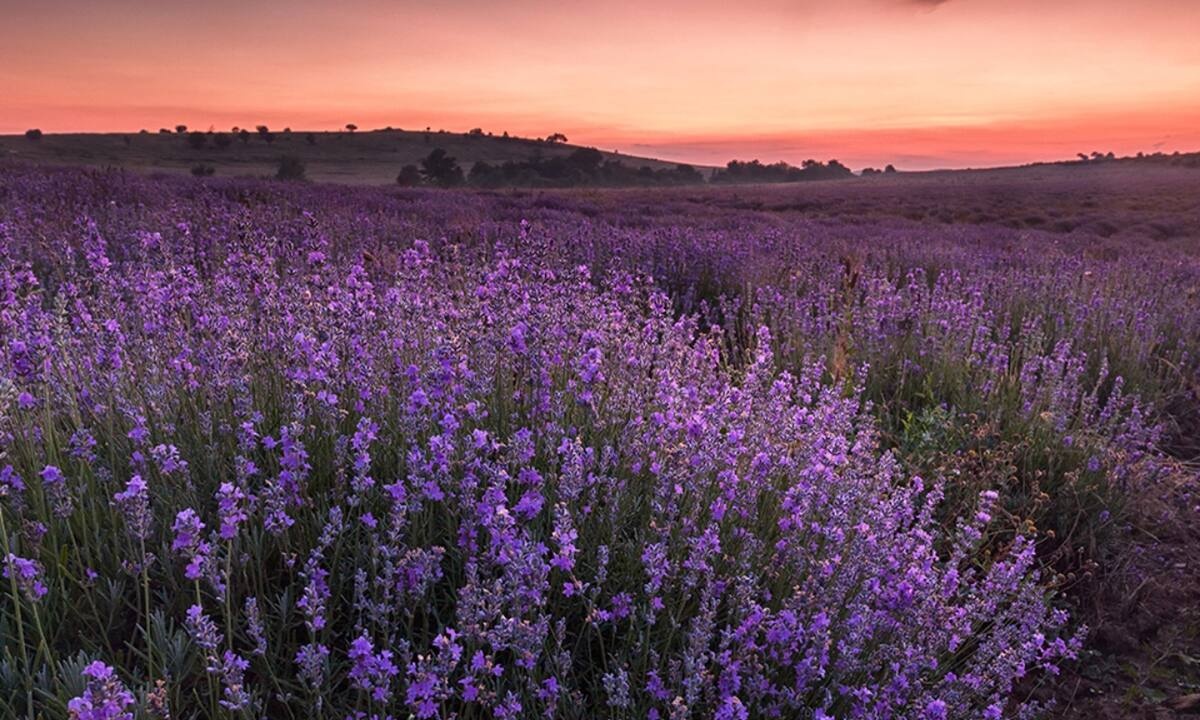 Διάβασε ΔΩΡΕΑΝ την προσωπική σου πρόβλεψη, για σήμερα 16/06/2022