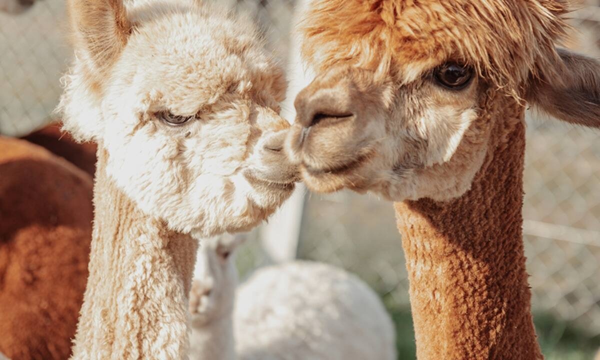Διάβασε ΔΩΡΕΑΝ την προσωπική σου πρόβλεψη, για σήμερα 19/06/2022