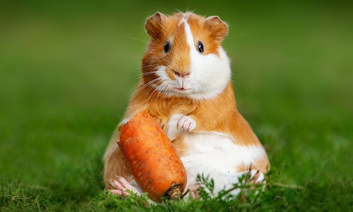 Διάβασε ΔΩΡΕΑΝ την προσωπική σου πρόβλεψη, για σήμερα 21/06/2022