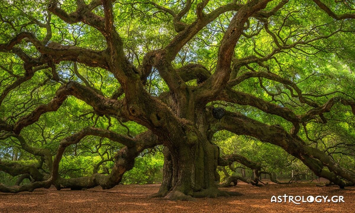 Διάβασε ΔΩΡΕΑΝ την προσωπική σου πρόβλεψη, για σήμερα 24/06/2022