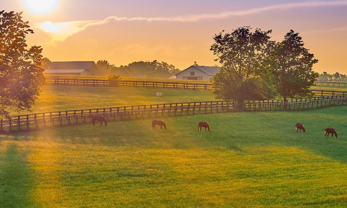 Διάβασε ΔΩΡΕΑΝ την προσωπική σου πρόβλεψη, για σήμερα 30/06/2022