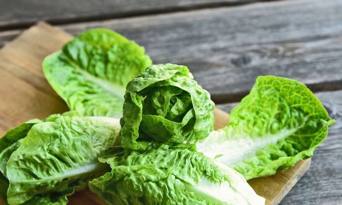 Μαρούλι: Τα οφέλη για την υγεία και οι τρόποι αποθήκευσής του