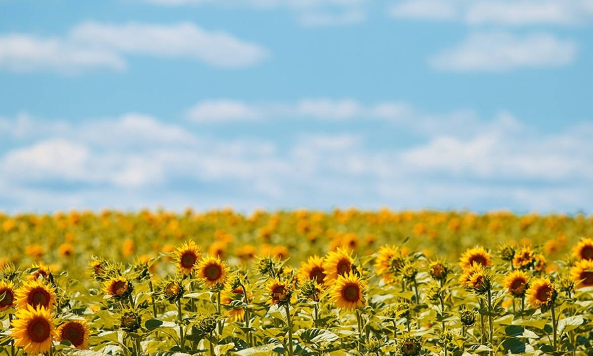 Διάβασε ΔΩΡΕΑΝ την προσωπική σου πρόβλεψη, για σήμερα 07/07/2022