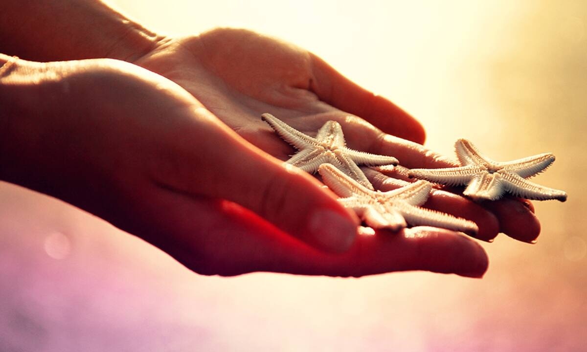 Ημερήσιες Προβλέψεις για όλα τα Ζώδια, 13/07