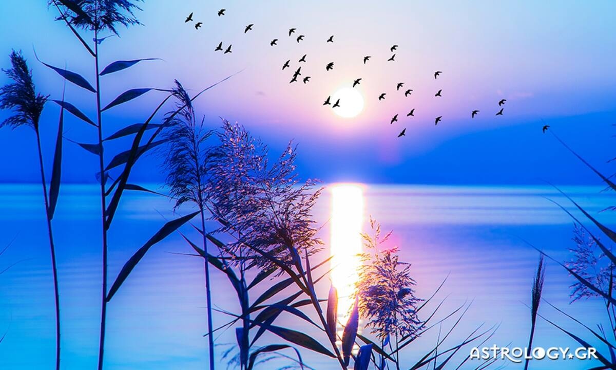 Διάβασε ΔΩΡΕΑΝ την προσωπική σου πρόβλεψη, για σήμερα 11/07/2022