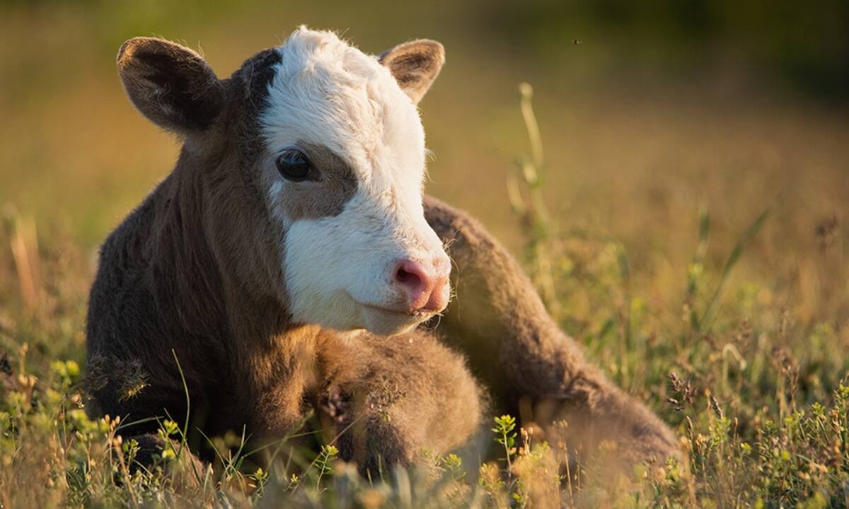 Διάβασε ΔΩΡΕΑΝ την προσωπική σου πρόβλεψη, για σήμερα 14/07/2022