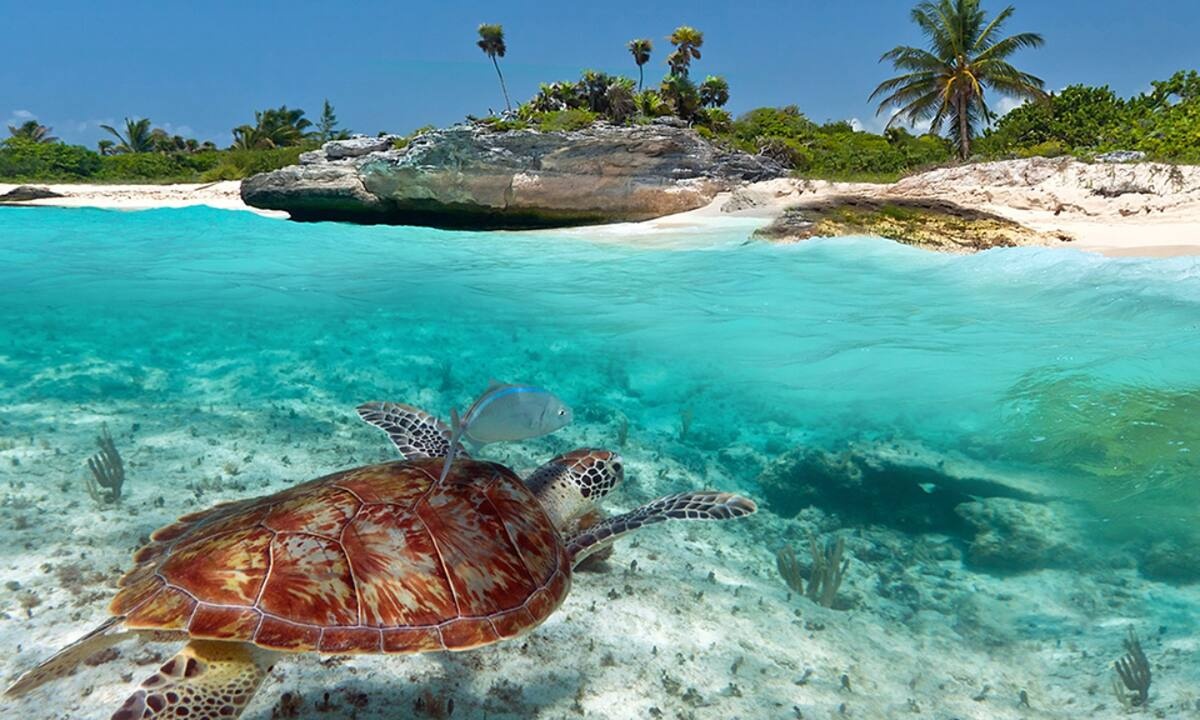 Διάβασε ΔΩΡΕΑΝ την προσωπική σου πρόβλεψη, για σήμερα 18/07/2022