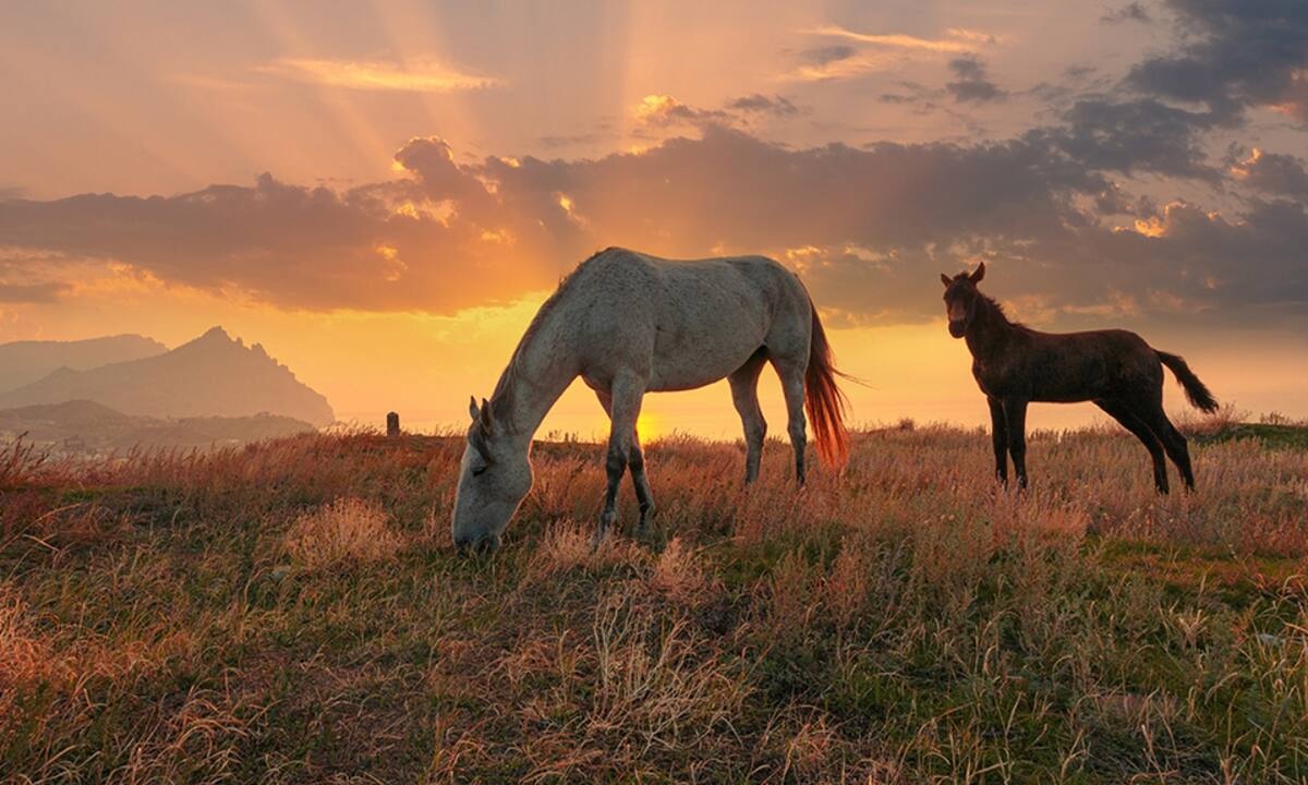 Διάβασε ΔΩΡΕΑΝ την προσωπική σου πρόβλεψη, για σήμερα 22/07/2022