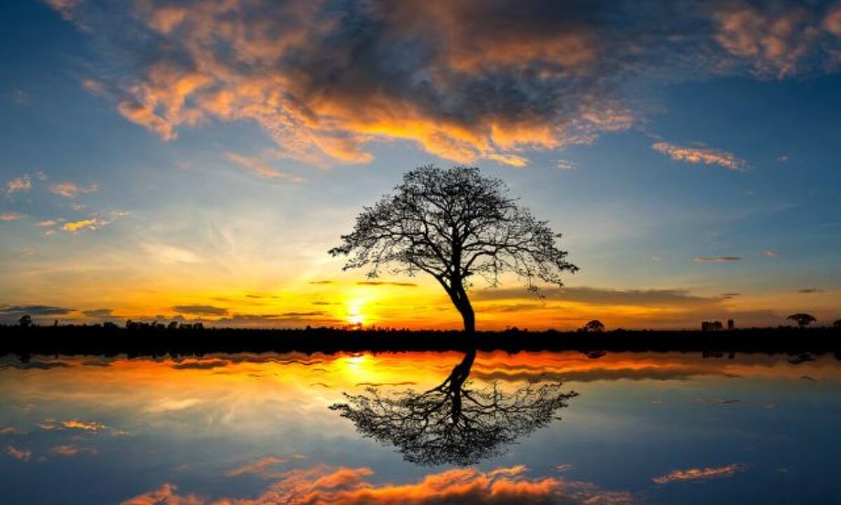 Πώς θα ήταν ο κόσμος, φτιαγμένος από έναν Λέοντα;