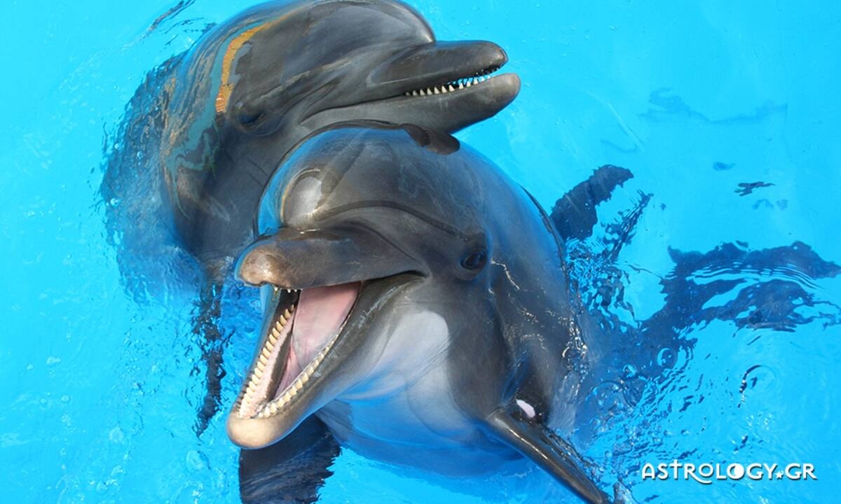 Διάβασε ΔΩΡΕΑΝ την προσωπική σου πρόβλεψη, για σήμερα 27/07/2022