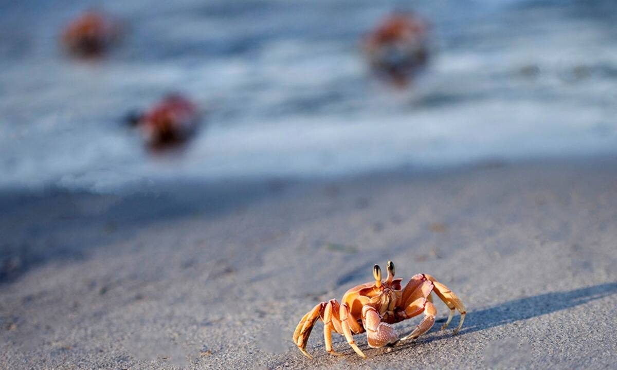 Διάβασε ΔΩΡΕΑΝ την προσωπική σου πρόβλεψη, για σήμερα 29/07/2022