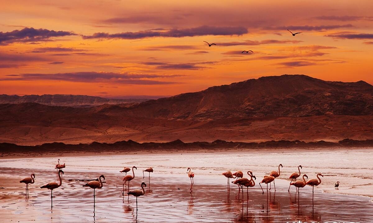 Διάβασε ΔΩΡΕΑΝ την προσωπική σου πρόβλεψη, για σήμερα 01/08/2022
