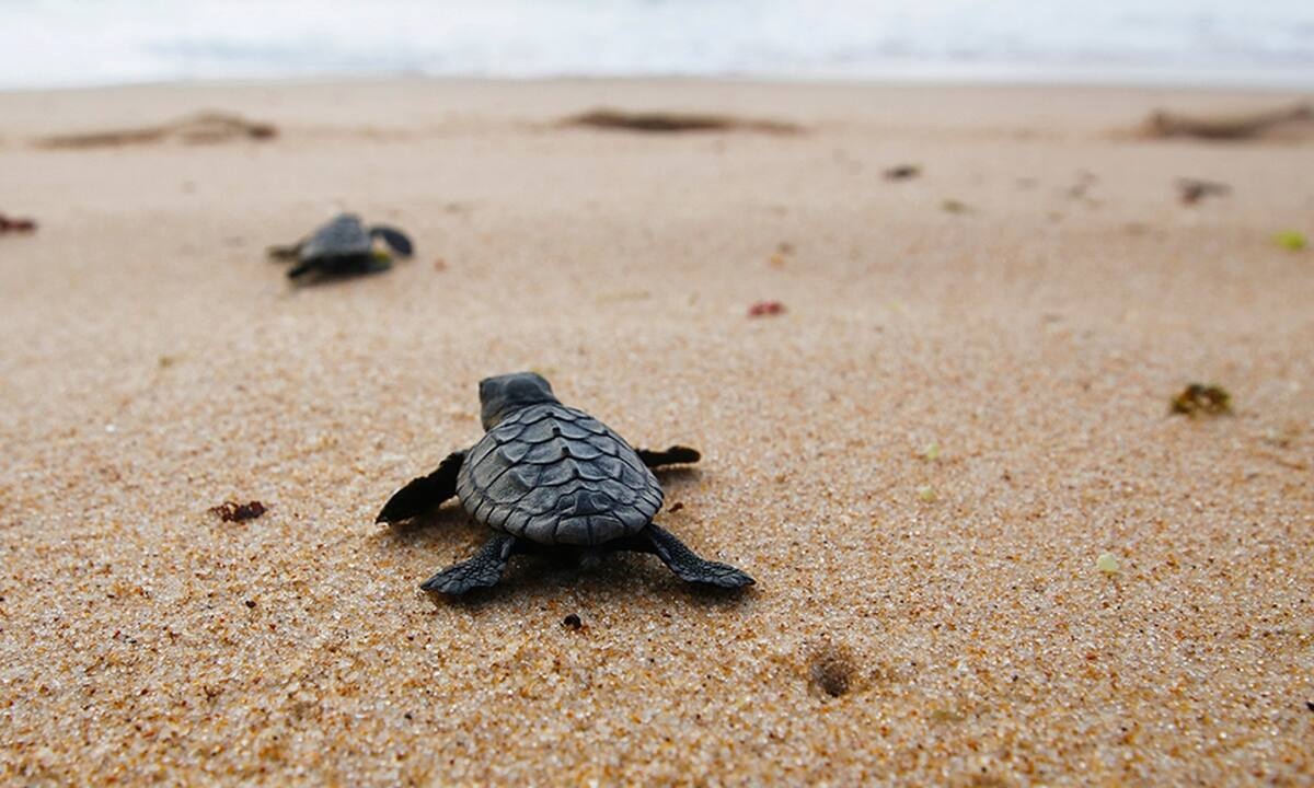 Διάβασε ΔΩΡΕΑΝ την προσωπική σου πρόβλεψη, για σήμερα 05/08/2022