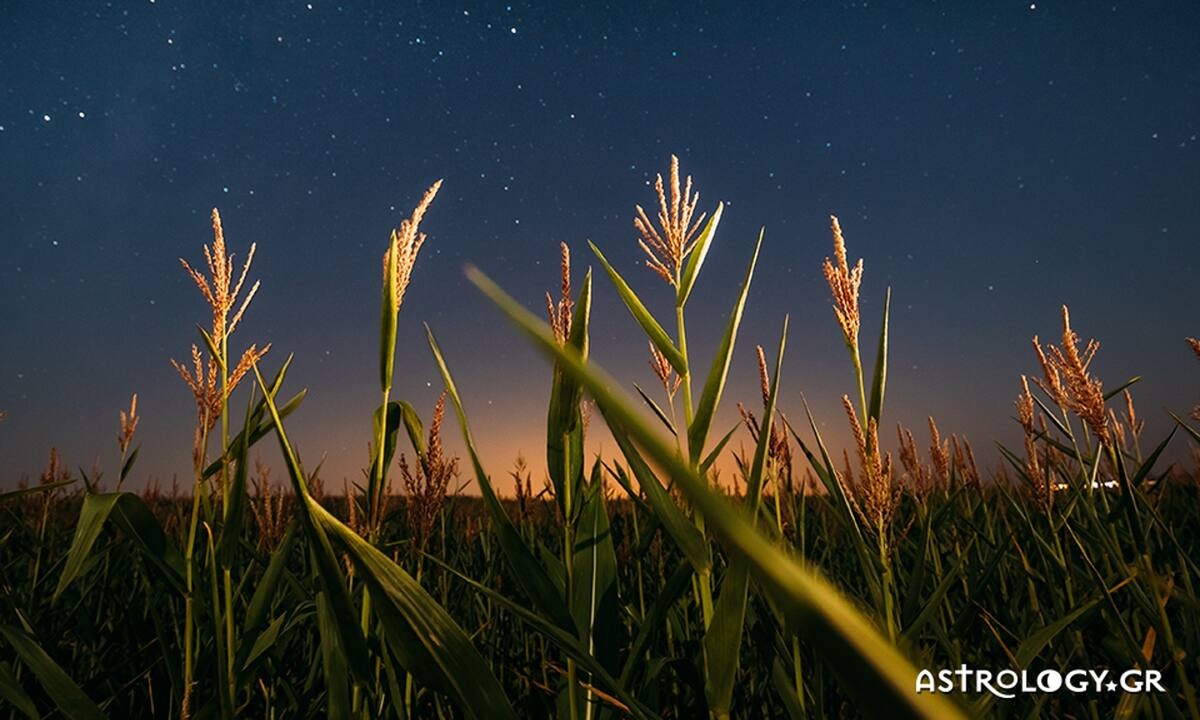 Διάβασε ΔΩΡΕΑΝ την προσωπική σου πρόβλεψη, για σήμερα 06/08/2022