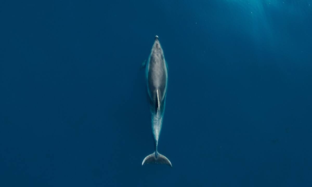 Διάβασε ΔΩΡΕΑΝ την προσωπική σου πρόβλεψη, για σήμερα 13/08/2022