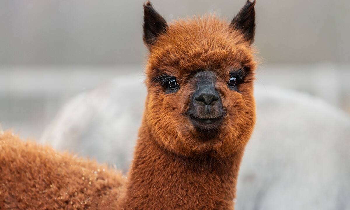 Διάβασε ΔΩΡΕΑΝ την προσωπική σου πρόβλεψη, για σήμερα 19/08/2022