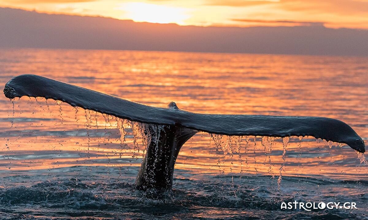 Διάβασε ΔΩΡΕΑΝ την προσωπική σου πρόβλεψη, για σήμερα 22/08/2022