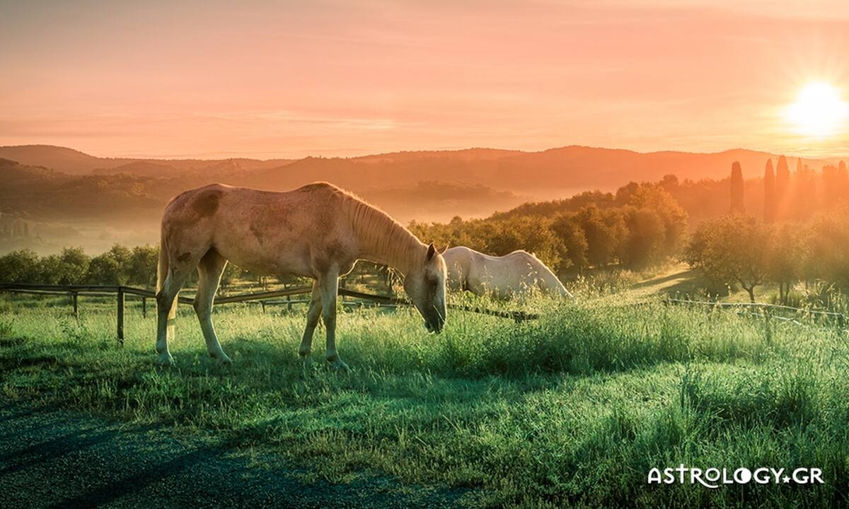 Διάβασε ΔΩΡΕΑΝ την προσωπική σου πρόβλεψη, για σήμερα 23/08/2022