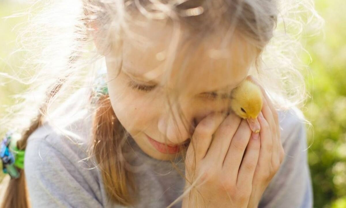 Μπορούμε να διαφοροποιήσουμε τους τύπους αυτισμού με βάση την αναγνώριση προσώπου; - μελέτη