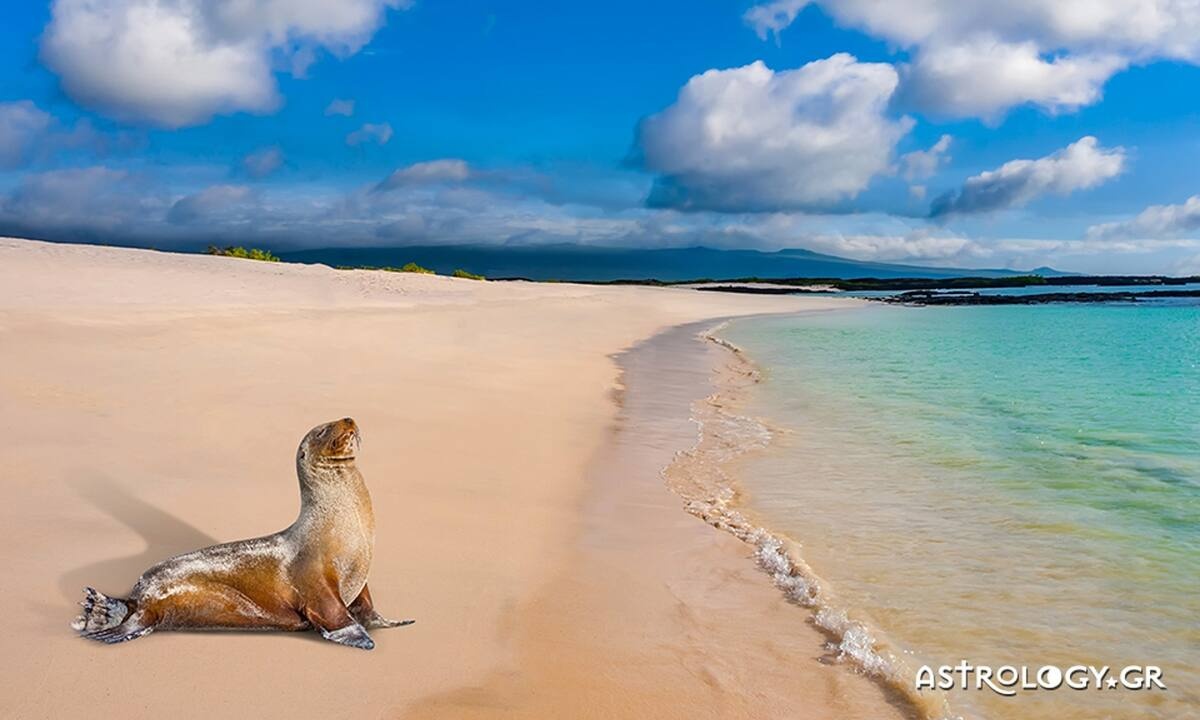 Διάβασε ΔΩΡΕΑΝ την προσωπική σου πρόβλεψη, για σήμερα 25/08/2022