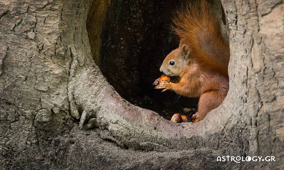 Διάβασε ΔΩΡΕΑΝ την προσωπική σου πρόβλεψη, για σήμερα 26/08/2022