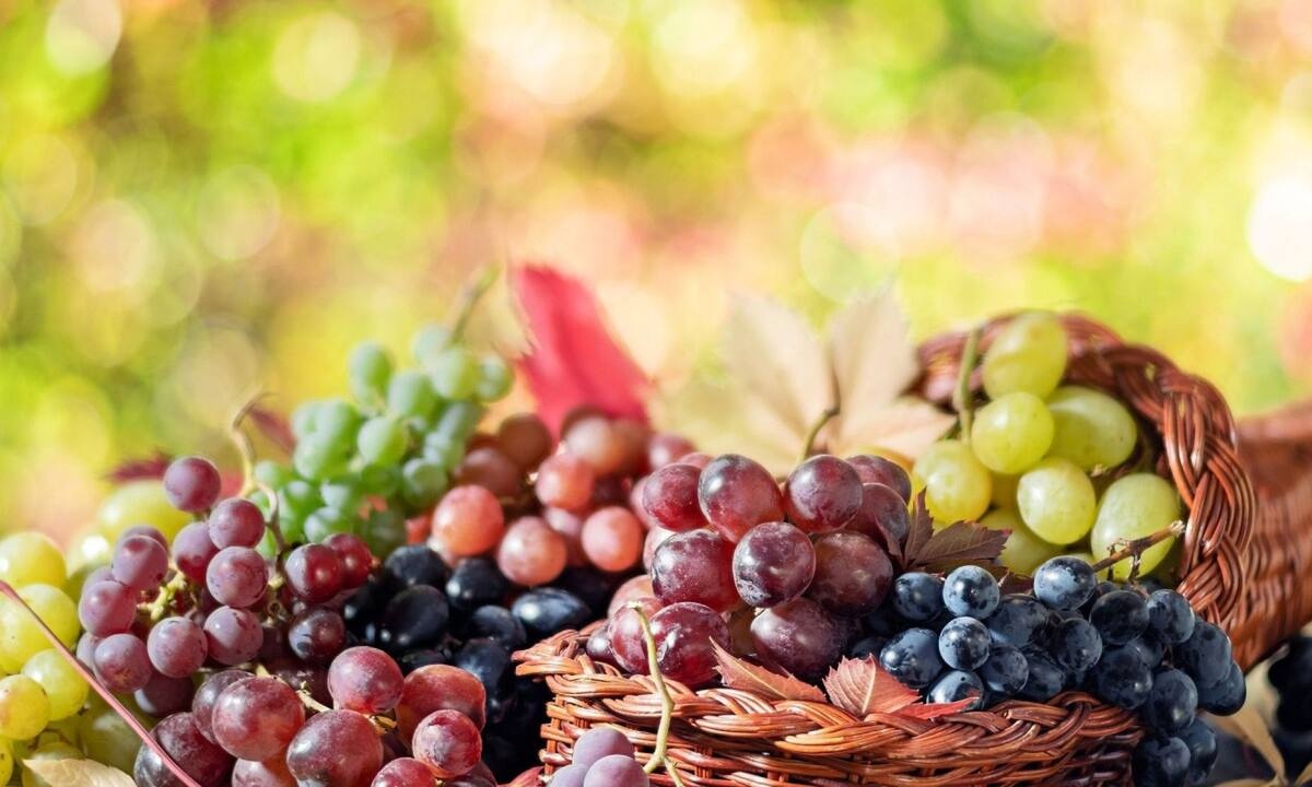 Ποια είναι η εκπληκτική επίδραση που έχουν τα σταφύλια στο σώμα; - μελέτη