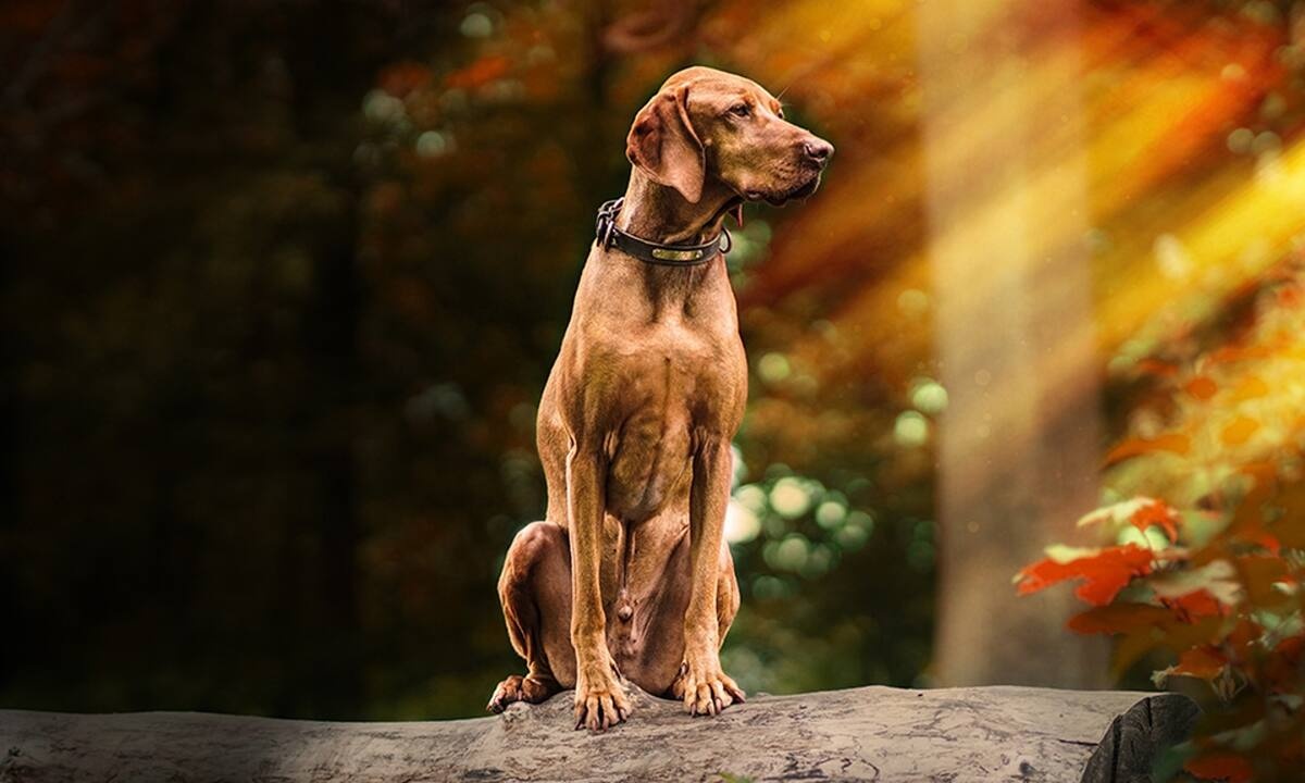 Διάβασε ΔΩΡΕΑΝ την προσωπική σου πρόβλεψη, για σήμερα 07/09/2022