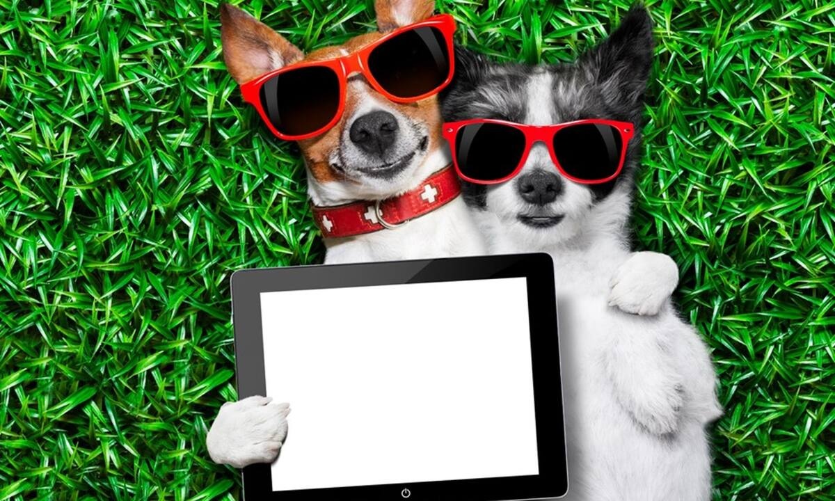 Τα τρία ζώδια που γίνονται πολύ καλοί φίλοι με το ταίρι τους