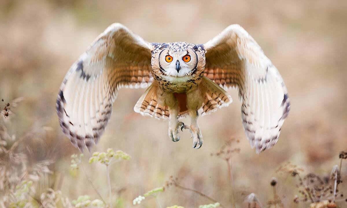 Διάβασε ΔΩΡΕΑΝ την προσωπική σου πρόβλεψη, για σήμερα 09/09/2022