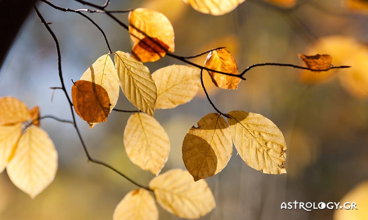 Διάβασε ΔΩΡΕΑΝ την προσωπική σου πρόβλεψη, για σήμερα 10/09/2022