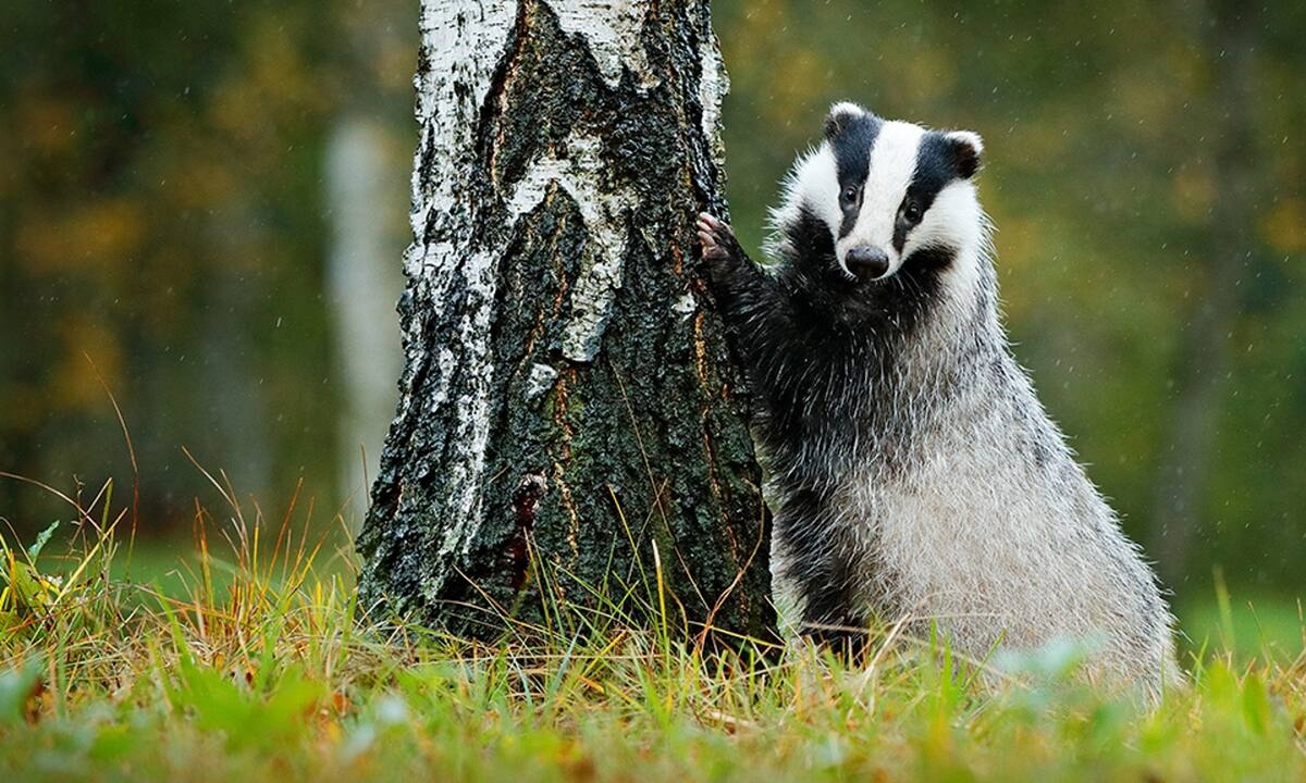 Διάβασε ΔΩΡΕΑΝ την προσωπική σου πρόβλεψη, για σήμερα 11/09/2022