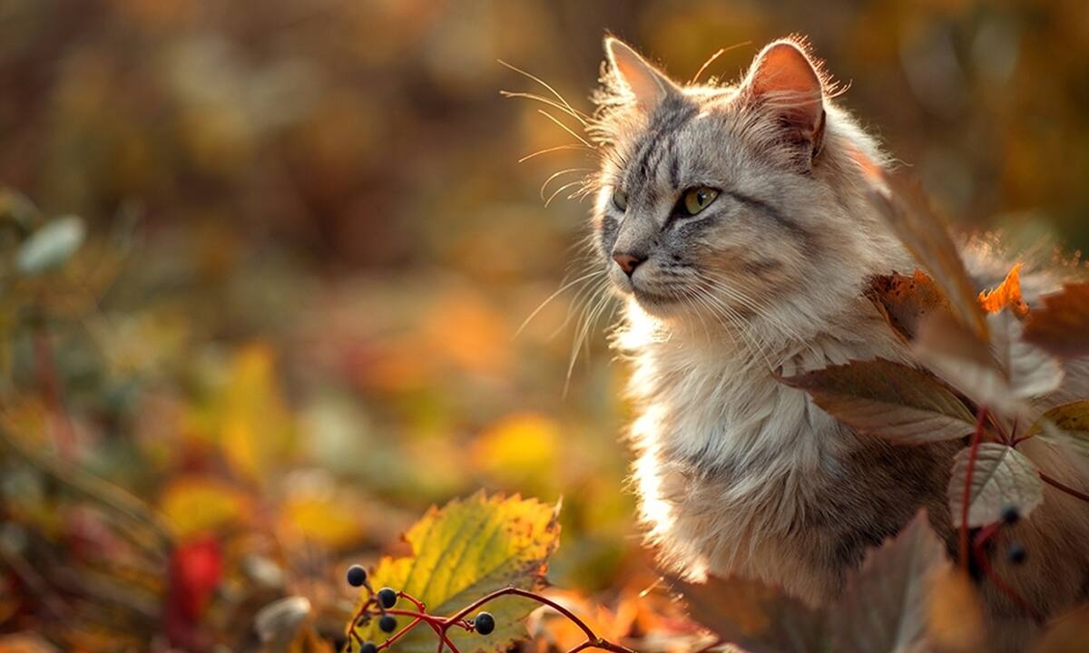 Διάβασε ΔΩΡΕΑΝ την προσωπική σου πρόβλεψη, για σήμερα 13/09/2022