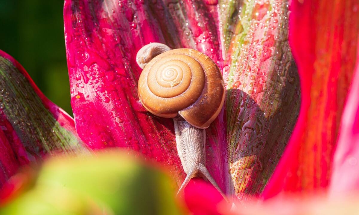 Διάβασε ΔΩΡΕΑΝ την προσωπική σου πρόβλεψη, για σήμερα 15/09/2022