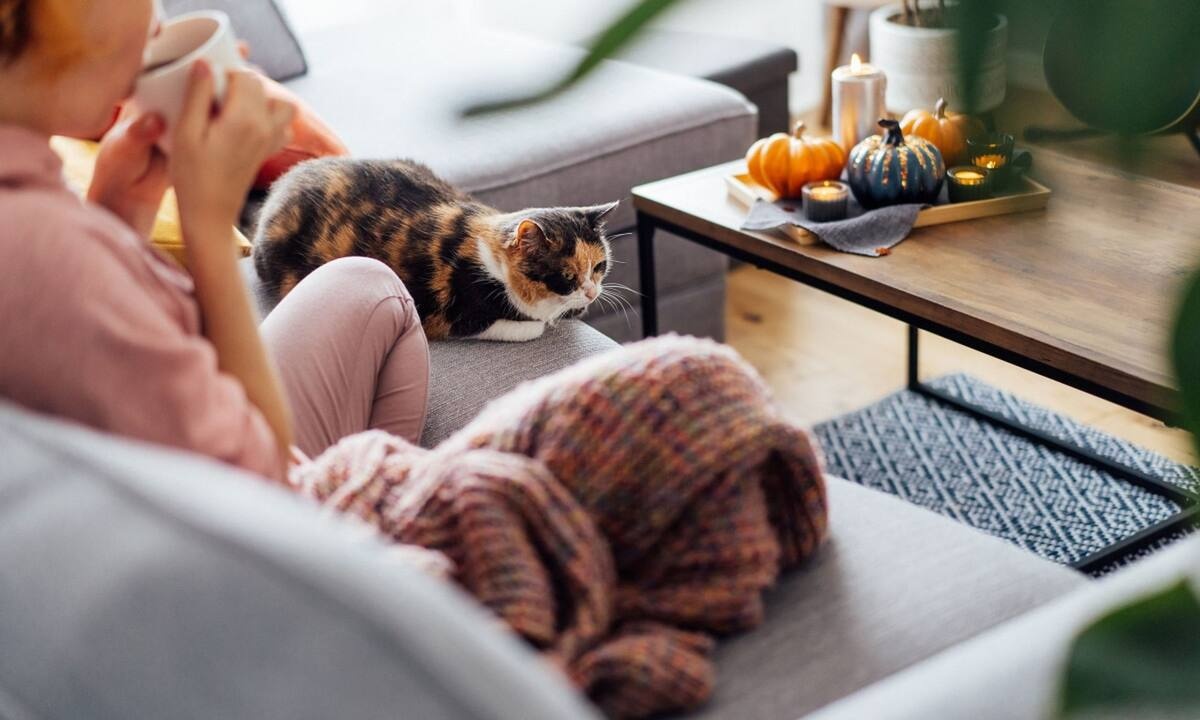 Βότανα και γονιμότητα: Μύθοι και αλήθειες