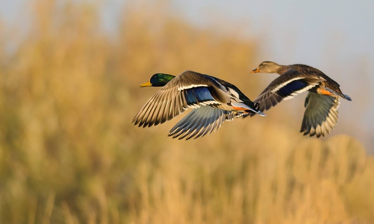 Διάβασε ΔΩΡΕΑΝ την προσωπική σου πρόβλεψη, για σήμερα 18/09/2022