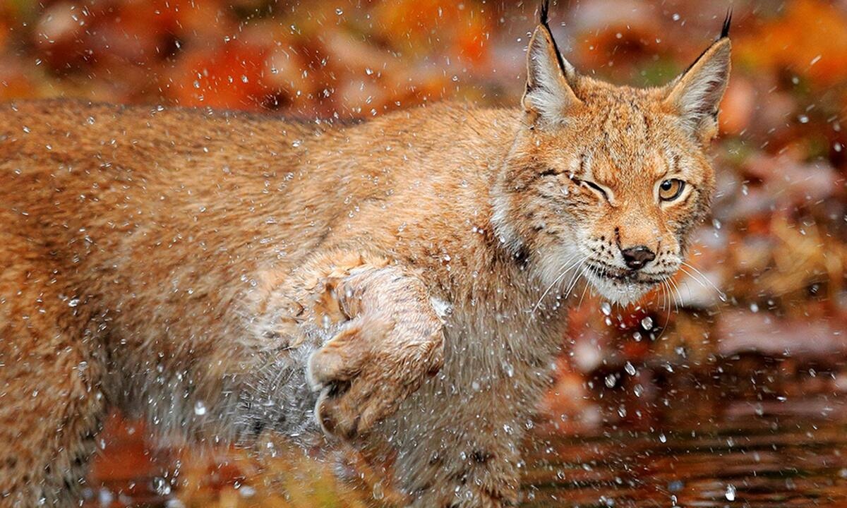 Διάβασε ΔΩΡΕΑΝ την προσωπική σου πρόβλεψη, για σήμερα 21/09/2022