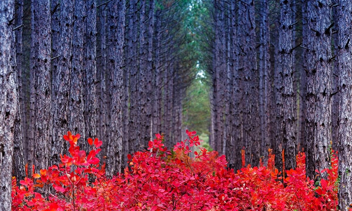 Διάβασε ΔΩΡΕΑΝ την προσωπική σου πρόβλεψη, για σήμερα 29/09/2022