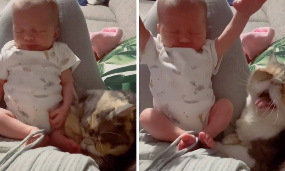 Τέλειος συγχρονισμός: Μωρό και γάτα ξυπνούν την ίδια ώρα