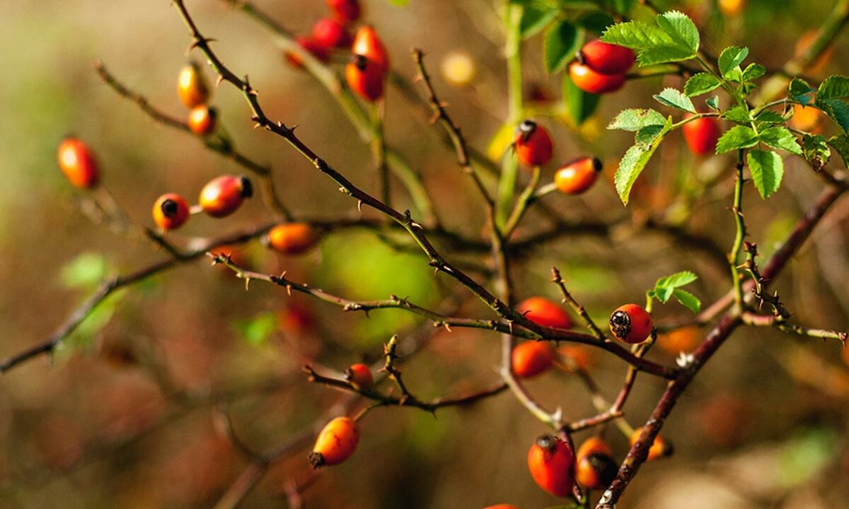 Διάβασε ΔΩΡΕΑΝ την προσωπική σου πρόβλεψη, για σήμερα 10/10/2022